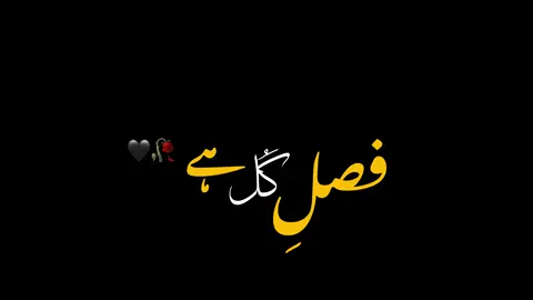 NFAK 🖤🥀  #foryou #itx_ummi2 #viralvideo #اکسبلور #Love #romantic #song #blackscreenlyrics #blackscreenstatus #blackscreenvideo #foryoupageofficiall #fypシ゚ #foryourpage #blackscreen #blackoverlays #onemillionaudition #welovetosmile #100k  @🔥Malang Mashal🔥 