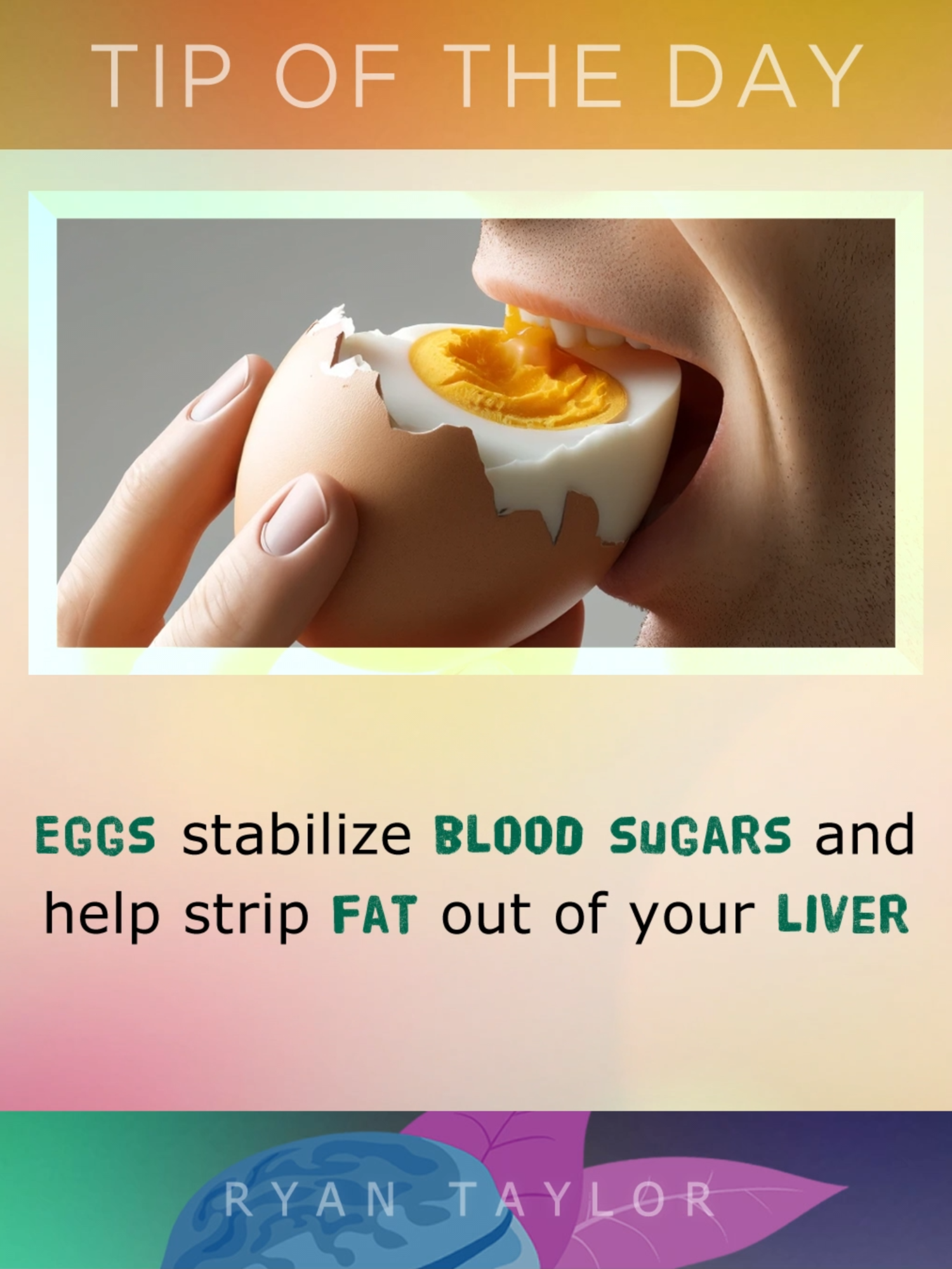 Eggs Reduce HUNGER & Boost ENERGY #eggs #protein #cravings #diet #liverclean #liver