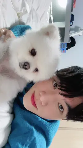 👦🏻🐶 Dusik are you boring me? 🤣😂 #Mavin〽️ #sseong_48 #dusikdog #leftcheekrightcheek #leftcheek #leftcheekrightcheekchallenge #tiktoklive #livehighlights #live #koreanboy #korean #fyp #viral #tiktokviral #tiktok #dance #dancechallenge #trending #challenge #dog #dogs #dogcute #cutedog #cutedogs #dogsontiktok #petsontiktok #puppy #puppylove 