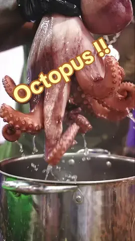 Giant Octopus! #foryou #seafood #4u #viral #fyp #Recipe #foryoupage #cooking #octopus 