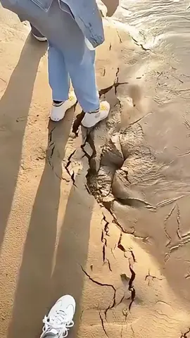 #fyp #foryou #oddlysatisfying #quicksand #knowledge 