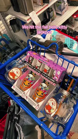 Hello kitty finds #ross #hellokitty #fall #hellokittyfinds #trending #foryou #finds #fyp #fallfinds #run 