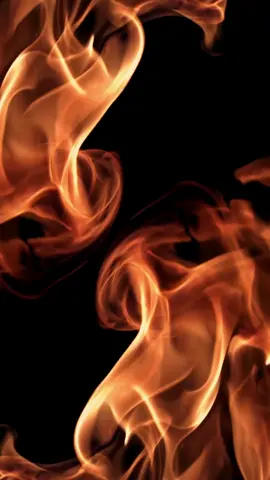 Live Wallpaper: Burning #livewallpaper #wallpaper #fireburning #burning #livewallpapervideo