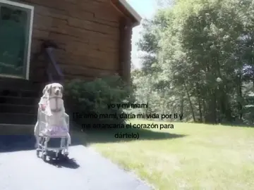 yo y mi mami en todos los universos posibles, no sabes knto t amo😞💗 || #mimamáyyo #teamomamita💞👸💞 #mamáehija 