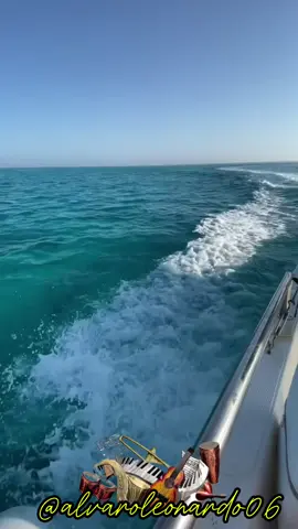 #salsa#buenaventuraycaney#salsarebuena#unasalsamas#salsaynadamas