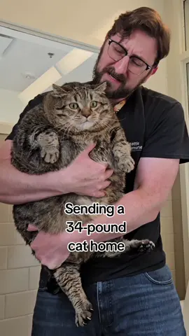 JK We can't wait to hear about Winston's weight-loss journey! #adopted #chonkycat #fyp #seattle #animalshelter #familyguy #dairyqueen #funny #adoptdontshop #weightloss 