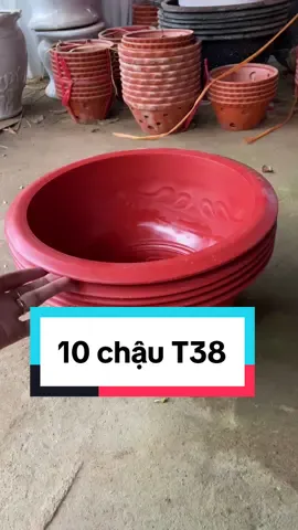 Chậu nhựa trồng cây kích thước 36x20cm ạ#chautrongcay #phanboncay #xuhuongtiktok2024 