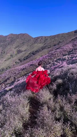 Đi trek tuy mệt nhưng được cái đẹp! Như này bảo sao không mê! #tachinhu #hoachipau #trekking #viral #xuhuong #xuhuongtiktok 