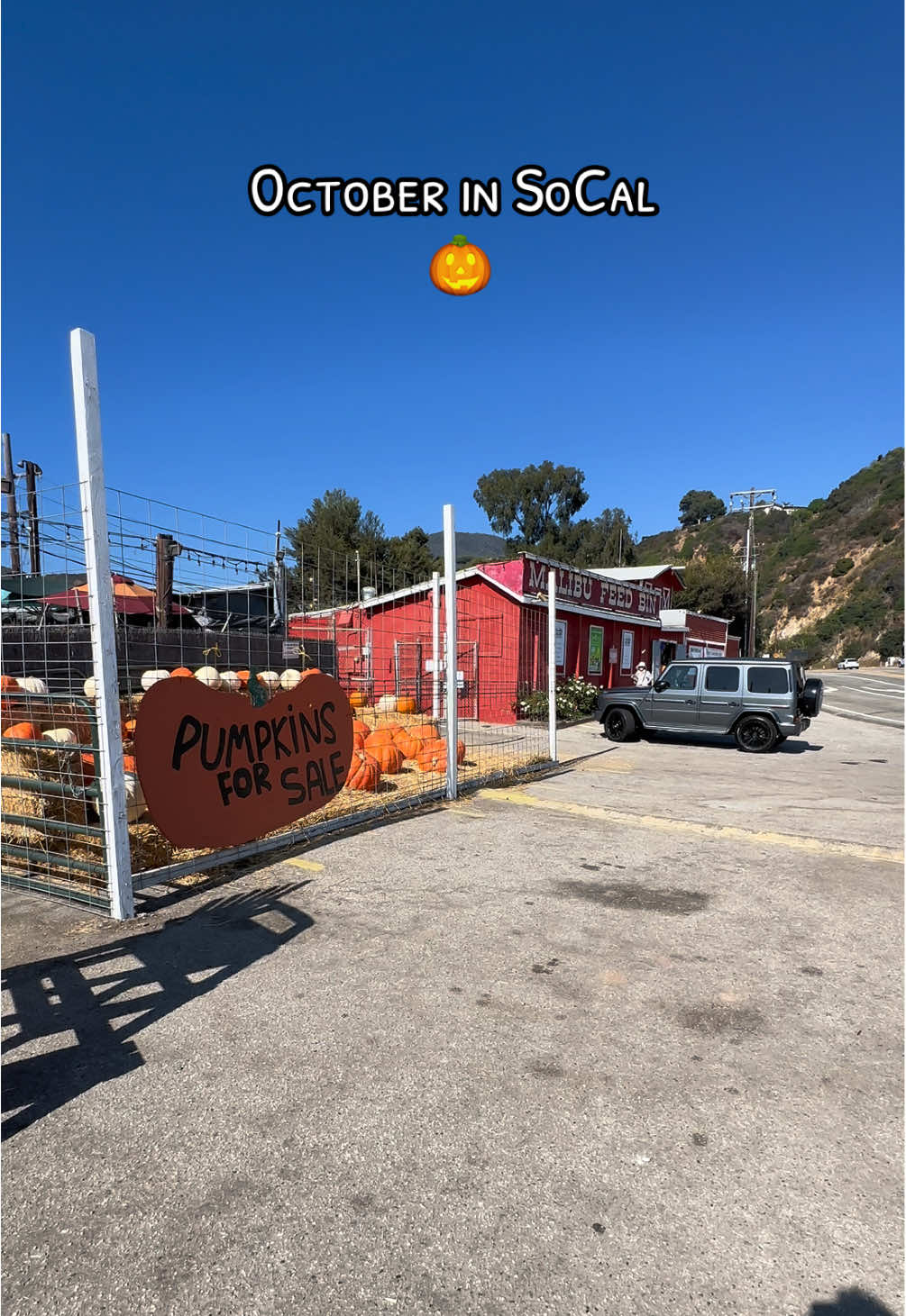 October in SoCal. 🎃.  #fyp #california #losangeles #surfing #surfer #ocean #beach #latino #lgbt #malibu 