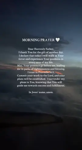 Morning prayer. #prayer #prayers #morningprayer #christian #christiantiktok #motivation #motivational #encouragement #keepgoing #trustgod 
