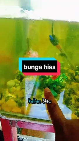 bunga hias aquarium ✅ #aquarium #bungahias #hiasanaquarium #ikanhias #ikanhiascakokek 