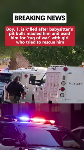 #news #breakingnews #fypシ #crime #crimetok 