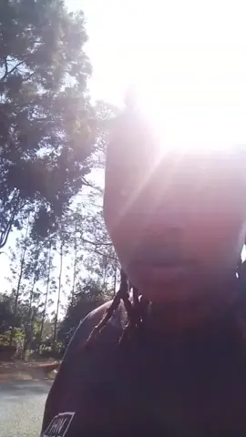 #berylchocolate #trends  meru tiktokers