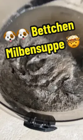 Hab ich da zufällig im Matsch gesaugt? 😂😅 *Werbung #fy #fyp #hyla #hylagermany #sauberkeit #haushalt #satisfying 