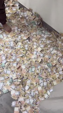 인생을 분투하다