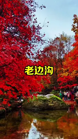 #scenery #TikTok #fyg #🎼🎼🎼 