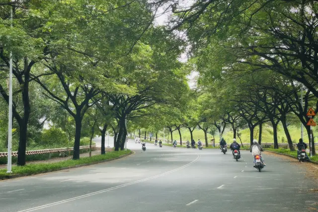 #dhqgtphcm #langdaihoc #vnuhcm #uit 