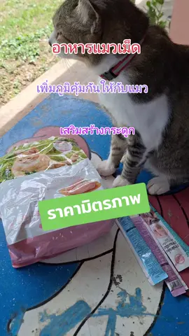 #เทรนด์วันนี้ #เทรนด์มากดตะกร้าtiktokshop #anongthaitasty #อาหารแมวเม็ด #อาหารแมวเม็ดเล็ก #อาหารแมว#อาหารแมวเม็ดเล็กทานง่าย #อาหารแมวไม่เค็ม #อาหารแมวราคาถูกมีสารอาหารเพื่อสุขภาพดี #อาหารแมวมีคุณภาพ #อาหารแมวมีประโยชน์ต่อน้องแมวมากๆ 