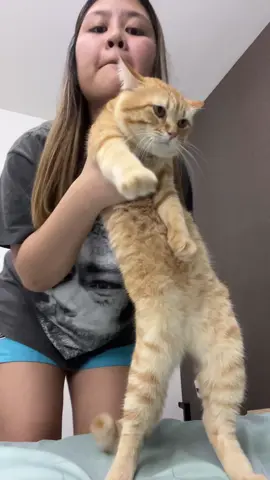 ตั้งแต่มีพี่คนละคำ แม่ผมก็เอสเต้อยู่ทั้งวัน🤣  ##ป้าไจ๋กับน้องไข่ตุ๋น##cat##เคล็ดลับสัตว์เลี้ยง##เคล็ดลับสัตว์เลี้ยง##แมวอ้วน##แมวส้ม##สวนสัตว์tiktok##แมว##fyp##catsoftiktok##catlover##cattok##แมวเต้น##แมวเอวหวาน##catdance