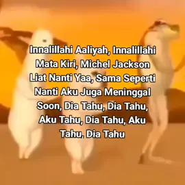 Lagu Buat Pididi #sheknows #eminem #aaliyah #lefteye #michaeljackson #fyp #foryou #foryoupage 