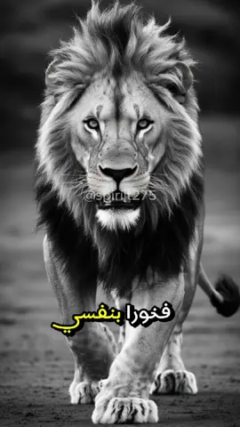 فخورا بنفسي #إيقاع_الحياة  #اقوال_وحكم_الحياة  #رحلة  #كلام_من_ذهب  #كلماتي  #Capcut  #اكسبلور  #ترند  #مشاهدات  #كلمات_من_القلب  #عبارات_جميلة  #مقولات_وحكم_ونصائح  #عبارات  #تحفيز_الذات  #تحفيز  #خواطر  #روايات  #viraltiktokvideo #مشاهير_تيك_توك_مشاهير_العرب  #عرب