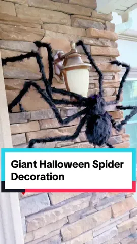 Halloween Spider Decorations, Giant Light up Black Hairy Spider Decoration for Best Halloween Party Outdoor Indoor Yard Decoration #fyp #shoplatinowned #holloween #christmas #holiday #spider #spiders #gardeninghacks #halloweenlook #halloweendecor #halloweenathome #FallDealsForYou #halloweencostume #halloween 