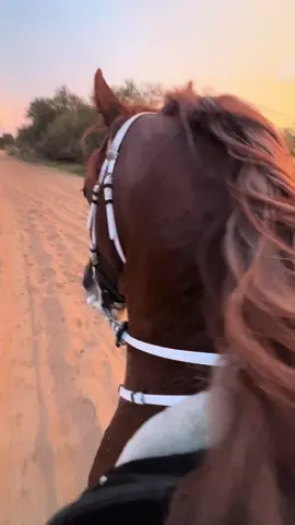 آسر❤️‍🔥..                                        #اكسبلورexplore #foryoupage #fayyyyyyyyyyyyyyyyyyyyyyyyyyyyyyyy #ماشاءالله_تبارك_الله #خيل_وخياله🐎 #الشعب_الصيني_ماله_حل😂✌️ #الهاشتاقات_للشيوخ #explore #CapCut #foryo #تيك_توك 