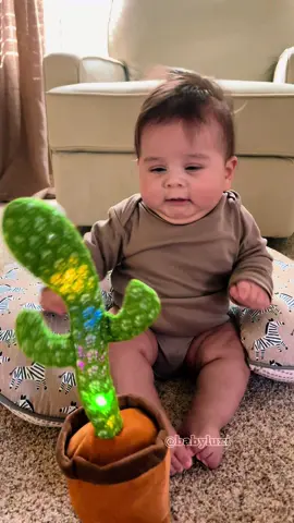 Episode 1 | When your baby meets the dancing cactus for the first time! 😂 Their reactions are priceless! #BabyVsCactus 🌵👶 #CactusChallenge #FunnyBabyMoments #DancingCactus #BabyReactions #CactusToy #ParentingHumor #MomLife #DadLife #BabyLaughs #AdorableReactions #ViralBaby #FunnyToddler #CutestBabies #FirstReactions #BabyFun #RelatableParenting #TikTokChallenge #FunnyFamily #CuteAndFunny #cutebaby #funnybaby #xybca #relatable #bebestiktoks #toddlersoftiktok #babiesoftiktok #trendingvideo #fouryou #foryour #drole #rire 