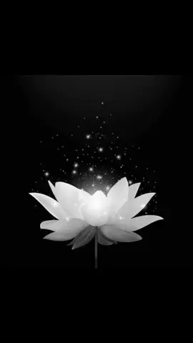 Ở xa sợ cảm giác khi nghe tin người thân mất mà ko về được,ko có nối đau nào bằng 🥲chẳng ai tránh được quy luật cuộc đời,cuộc đời vô thường,thời gian có hạn , Hết 1 kiếp người thế là ko còn đau nữa 🥲🥲.hãy yên nghỉ cậu nhé 