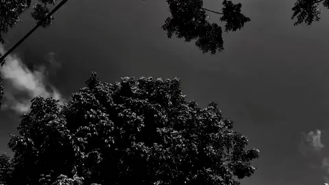 Background see waaye guys 👍🏼🫡😭#somali tiktok @༺ 𒆜Qasaaye💯☠️💥𒆜 ༻ @🩶🦕 @!na !s᙭aᗩق C4L! 📿🇸🇴🐊 