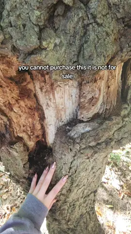 stop. buying. all. my. oatmilk. I don't have any for my morning coffee. how much could you possibly need. why is it always out of stock.  #fyp #hopecore #deinfluencing #mucus #selflove #SelfCare #adhdtiktok #storytime 