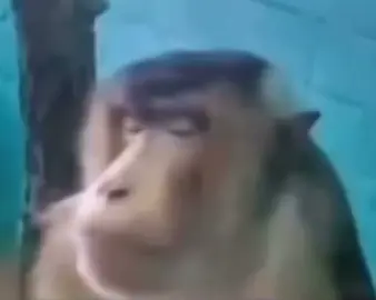 side eye #sideeye #money #funny #meme #stitch #laugh #laughing #fy #viralditiktok #viral #fyp #fy 