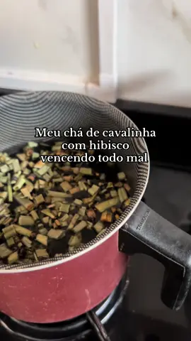 Não sufoca a artista #desinchar #nutricion #chadecavalinha #hibisco 