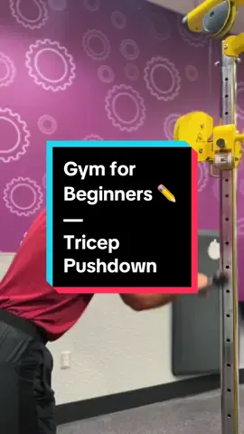 Gym for beginners ✏️ | tricep pushdown #creatorsearchinsights #tricepexercises #gymworkout #fyp #TikTokShop