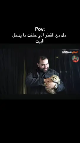 والله نفس الحركات هههههههههه #فالكونز #explore #fyp #falcons #فالكون #ابو_عمر_فالكونز 