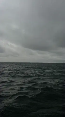 قولولي من صابني يعطف علي وأن كنت مخطي فلا تزعل علي🍃#اكسبلورexplore #new_totiktok #حركة_إكسبلور #fyp #fypシ #2024   