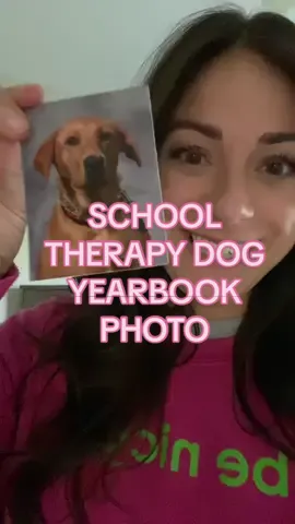 The cutest therapy dog
