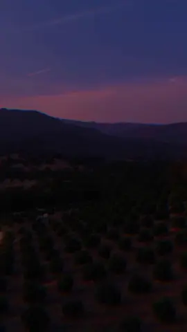 Un technomerengue💯🕺🏻 #Losmelodicos #Merengue #diavolo#fyp 