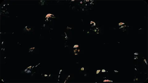 #CapCut #WeekendVibes #medanviral 