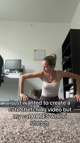 the paper in the background is mochi’s playground