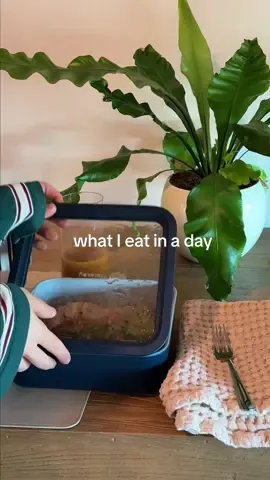 what I eat in a day, meal prep edition 🤍  full meal prep recipes on my page- but the whole day of eating is below!!  morning supps:  @Bloom Nutrition greens for digestion!  L glutamine  L theanine pill Himalayan salt  Black seed extract pill  Probiotic pill  ^^ regarding pills I am seeing how my body reacts to certain things! I was taking ashwagandha in the morning but not sure if it was making me drowsy so I’ll keep you updated  - Dates + bloom matcha  - more electrolytes + 3L water Breakfast:  - sourdough with egg inside + smoked salmon on top - Sourdough w heirloom tomato and basil with salt + olive oil on top  - fruit plate (papaya, dragonfruit, pomegranate)  Lunch:  - salmon power bowl  Dinner:  - lettuce wraps with ground chicken  To end the night: Herbal loose leaf tea + dark chocolate  Hope you enjoy 🫶🏻 #bloompartner 