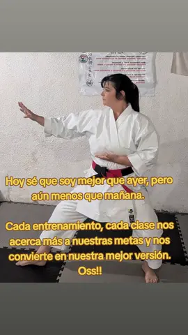 Hoy sé que soy mejor que ayer, pero aún menos que mañana.  Cada entrenamiento, cada clase nos acerca más a nuestras metas y nos  convierte en nuestra mejor versión. Oss!!#yopuedo #karategirl 