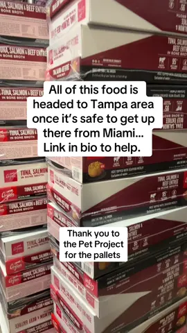 #hurricane #milton #hurricanemilton #catsoftiktok #kittens #kitten #cutecat #catsofinstagram #catlife #meow #catvideos #catstagram #catlove #kitty #petcat #cats_of_world #meowtiktok #feline #catmom #catdad #catsofinstagram #adoptdontshop #rescuedcat #animals #petsofinstagram #rescuedogs #dog #dogsoftiktok #puppies #puppiesofig #adoptdontshop #shelterpets #rescuedanimals #doglover #animalrescue #animallovers #animalcare #doglife #petstagram #animalshelter #adoptme #furreverhome #rescuedogsofinstagram #catlover #cat #cats #kitten #kittens #kittenrescue 