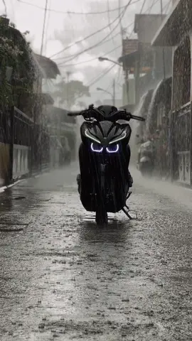 P pinjam buwung hantu🐦‍⬛#fyp #vario #burunghantu 