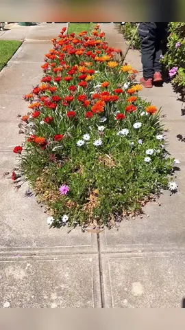 I love the moment when the garden is in a clean and clear state.And you…?🤗 #cleaning #yard #cleanup #community #satisfyingvideo #CleanTok #mowingthelawn #yardtransformation #cleantheyard #satisfying #happyday365 #mowing #cleaningtiktok 