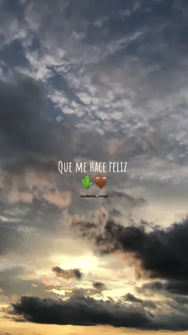 Y es que te quiero de tal forma 🤎 #cardenalesdenuevoleón #yesquetequierodetalforma #paratiiiiiiiiiiiiiiiiiiiiiiiiiiiiiii #fypシ゚ #norteñasconsax🎷 #norteñosax🎷 #norteñas2024 #norteñas #musicanueva #cancionesparahistorias #norteñassongs #atardecer #norteñasparahistorias 