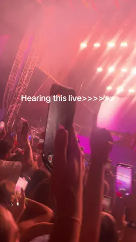 I think this cured everything in me #palmtreemusicfestival #chainsmokers #roses 