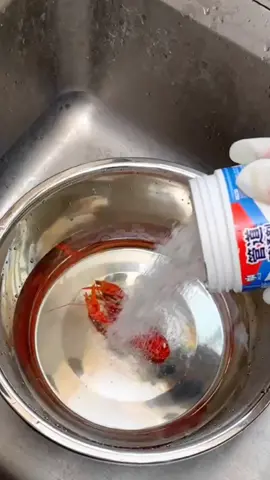 Buat ibu ibu yang suka ngeluh karena  saluran air nya suka nyumbat tenang aja kami ada solusi nya nih beli aja produk ini dijamin yang tadinya airnya nyumbat jadi lancar kembali jangan diraguin lagi udh pasti terpercaya cek keranjang kuning sekarang juga #serbuk #serbukajaib #cairanajaib #cairan #produk #wastafelcucipiring #antisumbat #serbukajaibviral #pembersihkamarmandi #viral #viralvidio #fypシ #fypppppppppppppp #fypp #peralatanrumahtangga #iburumahtangga #kloset #xyzbca #racuntiktok #beliditiktok 