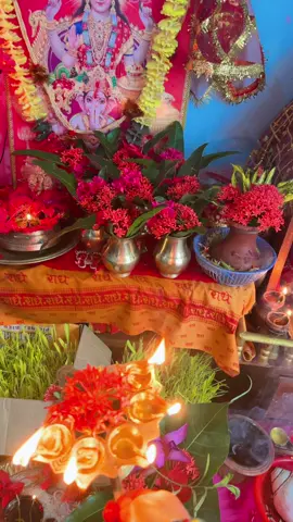 Fulpati pujaa #jaymadhurga🙏🙏❤️madhurga🙏🙏🕉️ #ॐ_नमः_शिवाय_हर_हर_महादेव🕉️🔱🙏🌺🥰 #nepalitiktok🇳🇵 #vhairal_video #Sitashmathapa #foyoupage #fouryou #ॐमाहालक्ष्मीनमोनमह🌷🌷🙏🙏 #
