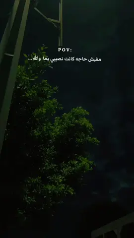 مش نصيبك يبني... #capcut #foryoupage #feryou #song #متابعه @The ash_رماد 